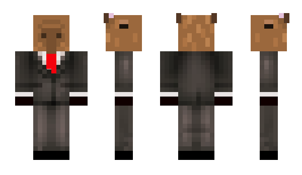 Minecraft skin capybara369