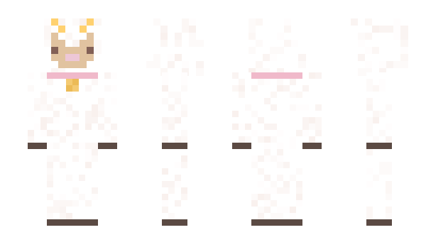 Minecraft skin _pas