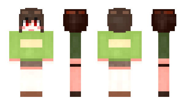 Minecraft skin polu_