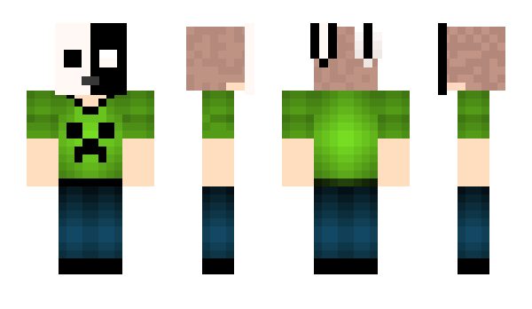 Minecraft скин по нику PETRONELA