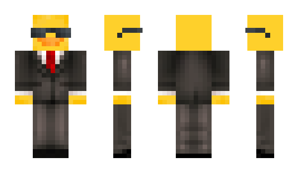 Minecraft skin Teineina