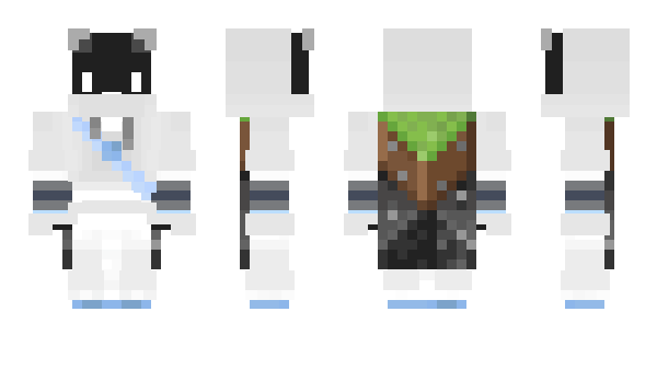 Minecraft skin icepolar