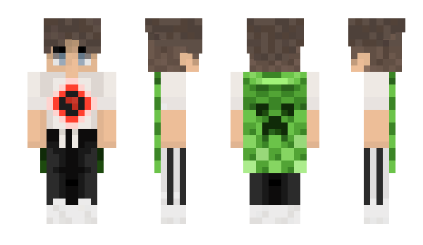 Minecraft skin Blastorlevrai