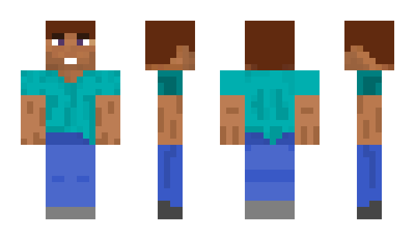 Minecraft скин по нику ElementAnimation