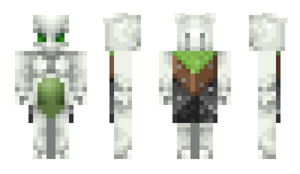 Minecraft скин по нику TamteyTheFemboy