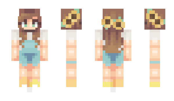 Minecraft skin ewdev