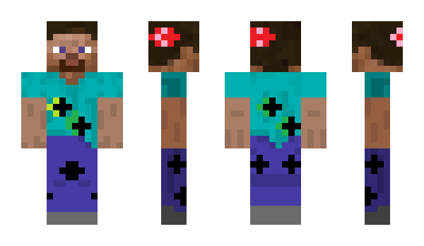 Minecraft skin PITN