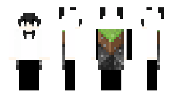 Minecraft skin 9451