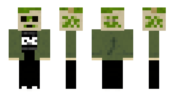 Minecraft skin Aerola