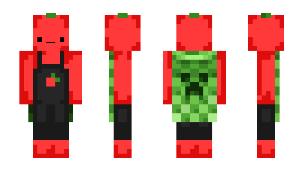 Minecraft skin Lykora