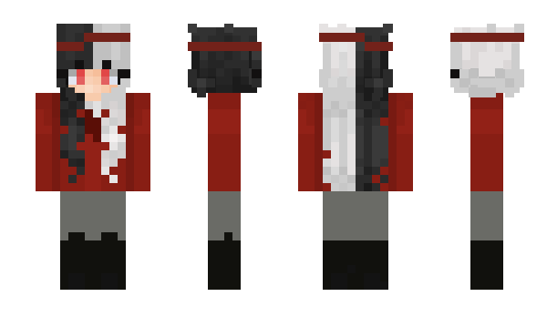 Minecraft skin f411