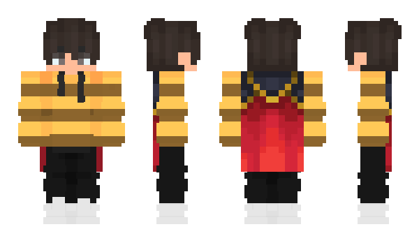 Minecraft skin DeDevBee