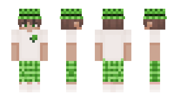 Minecraft skin Pnee