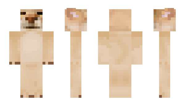 Minecraft скин по нику benignbhd