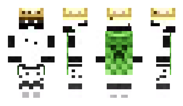 Minecraft skin NotMipor