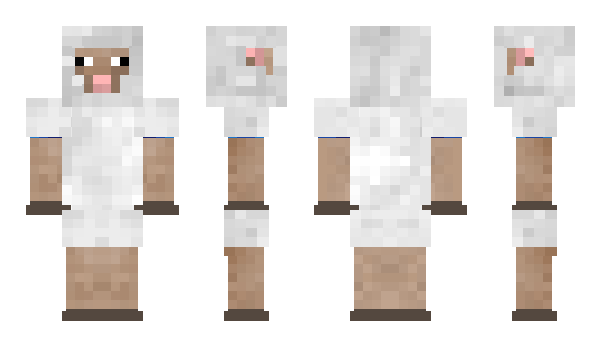 Minecraft skin stavn