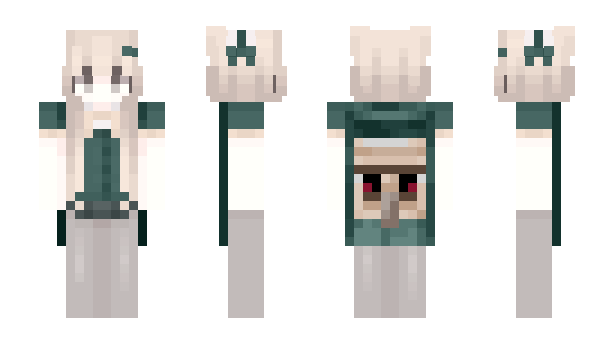 Minecraft skin Rokycany