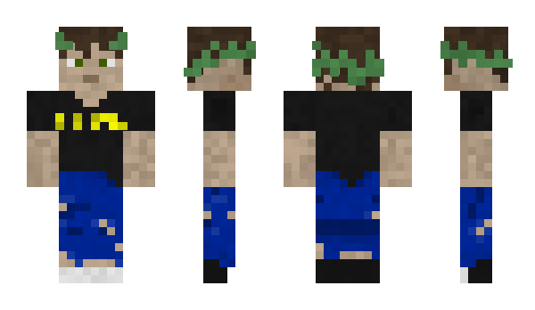 Minecraft skin kyriam