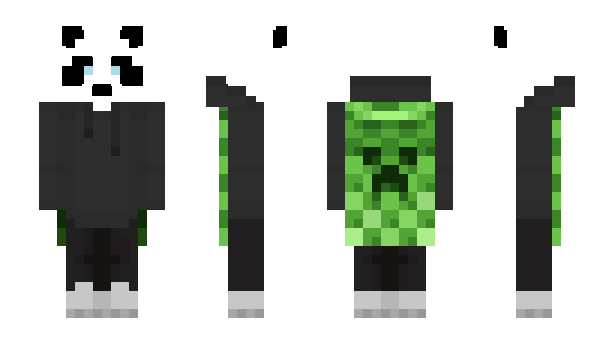 Minecraft skin caillougrincheux