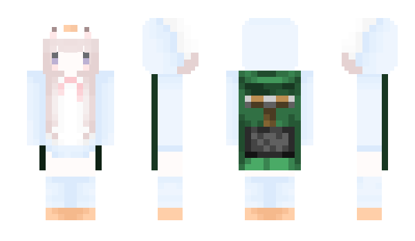 Minecraft skin dqnes
