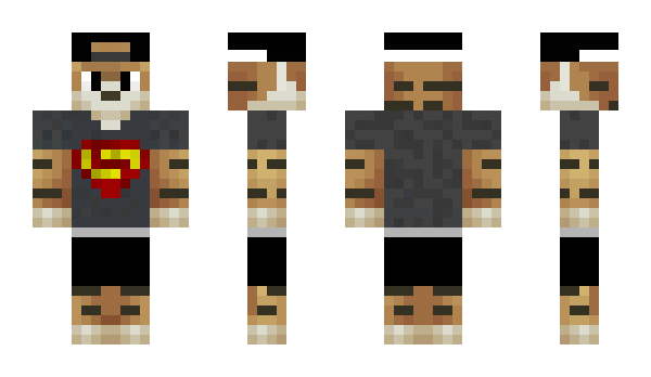 Minecraft skin 00_Pittich