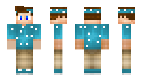 Minecraft skin nicobulle