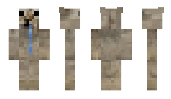 Minecraft скін по ніку _DSalgas_