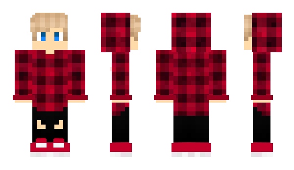 Minecraft skin SERAA