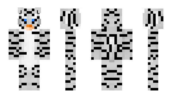 Minecraft skin Zyee