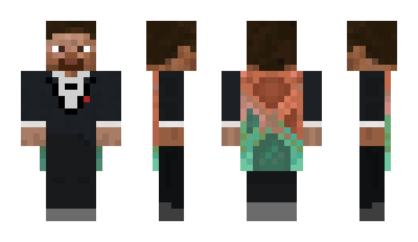 Minecraft skin P5P