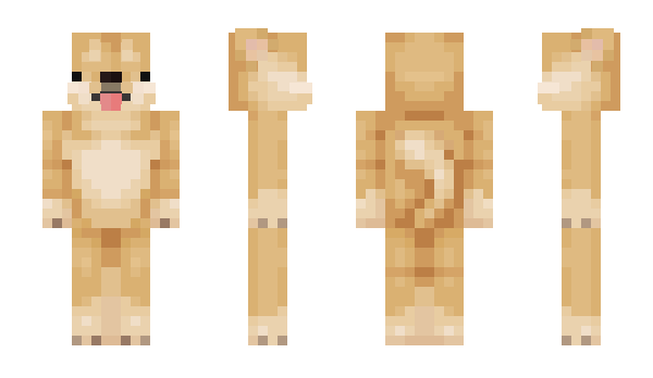 Minecraft skin Dunho
