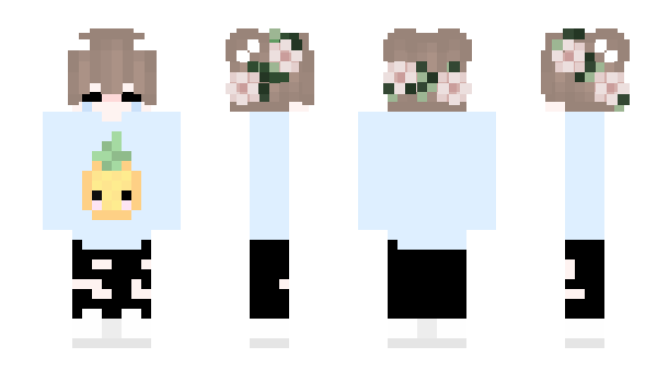 Minecraft skin pchelovod