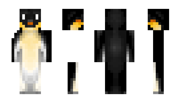 Minecraft skin SKyon