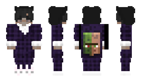 Minecraft skin Sennevslol