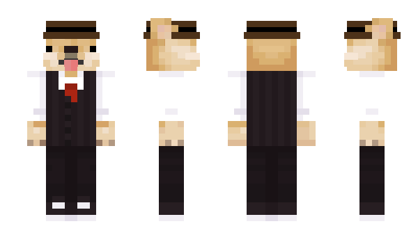 Minecraft скин по нику Paydi