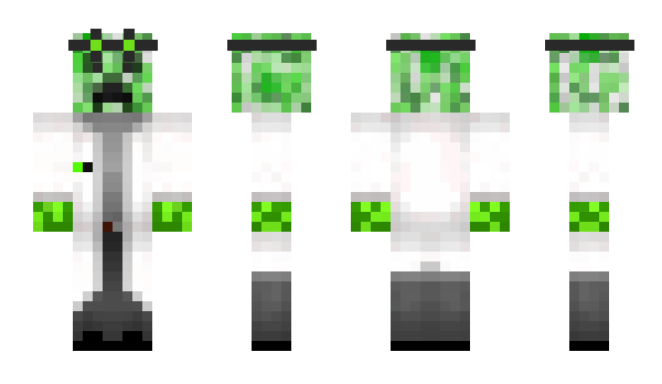 Minecraft skin Emerald28
