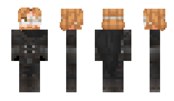 Minecraft skin Waidelotte