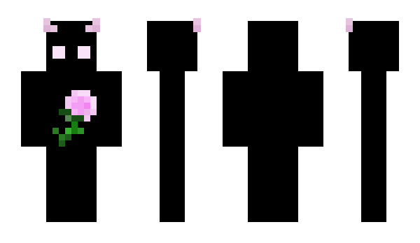 Minecraft skin StFigure