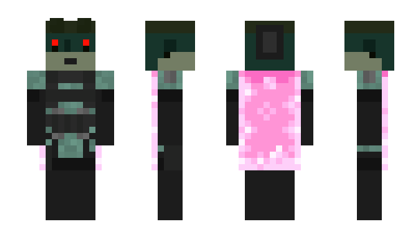 Minecraft skin ThuPixLPython