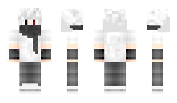 Minecraft skin EnderValera