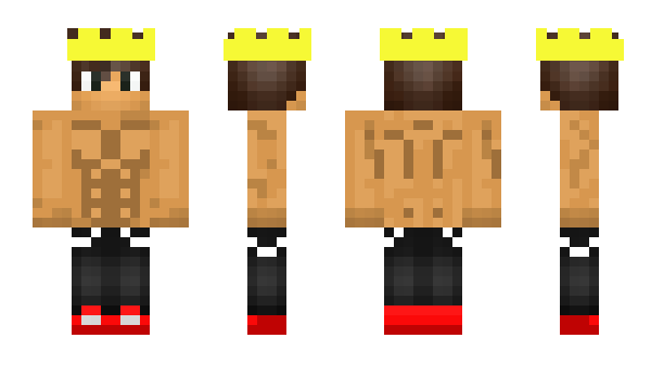 Minecraft skin Pidove