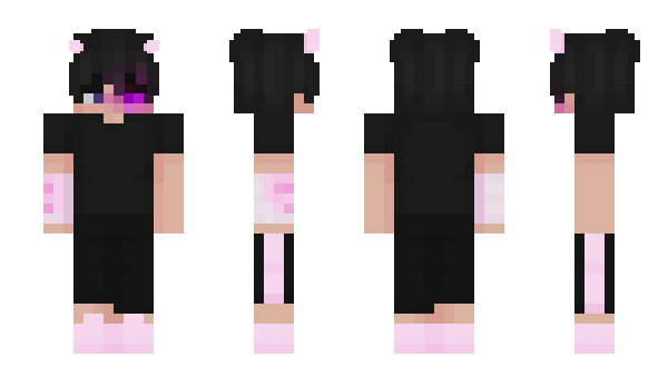 Minecraft skin SntM