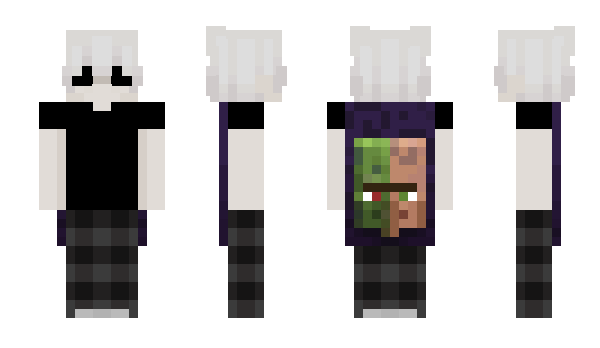 Minecraft skin DCC1337