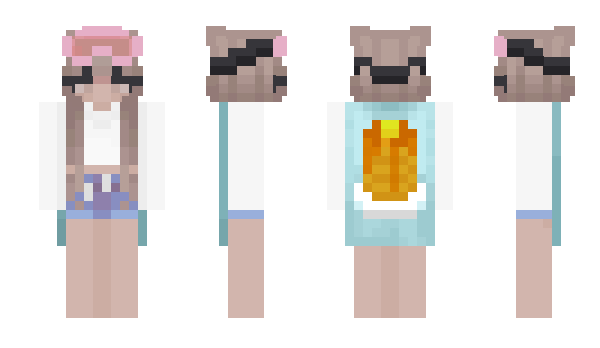 Minecraft skin ERR500