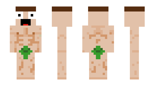 Minecraft skin i_Crazycat