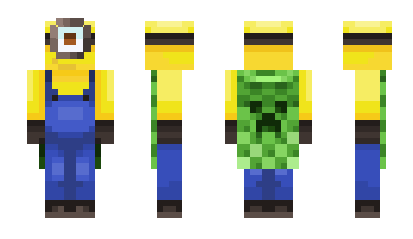 Minecraft skin Bjig