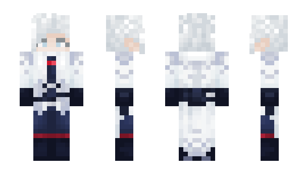 Minecraft skin WinterAmour