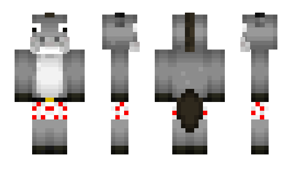 Minecraft skin JunkyDonkey