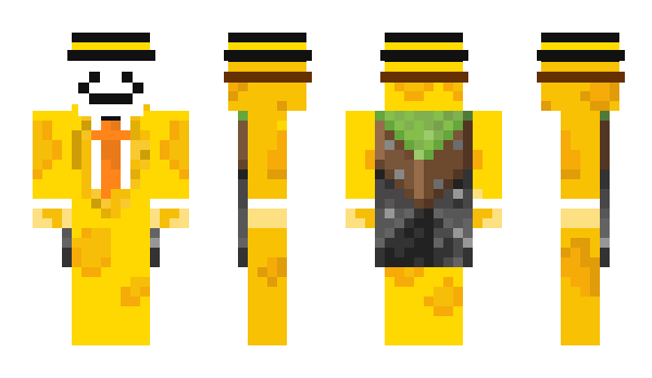 Minecraft skin Spongbo