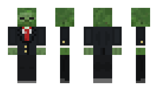 Minecraft skin Ahsiniis